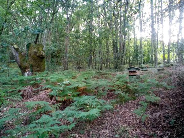 Terreno en Valverde, 54