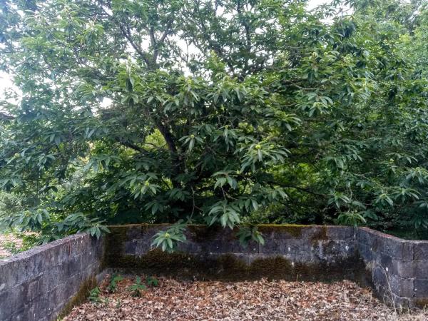 Terreno en Valverde, 54