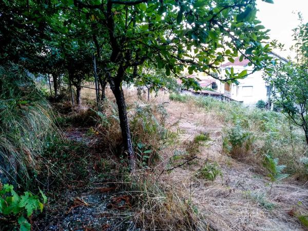 Terreno en Valverde, 54