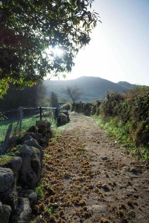 Terreno en Valverde, 54