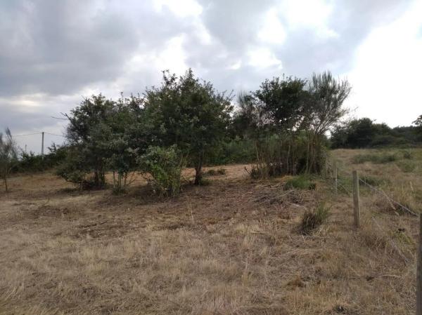 Terreno en San Vitoiro, 13