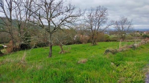 Terreno en calle Fonteiriña