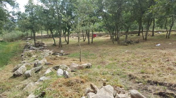 Terreno en Enfestela,A, 5