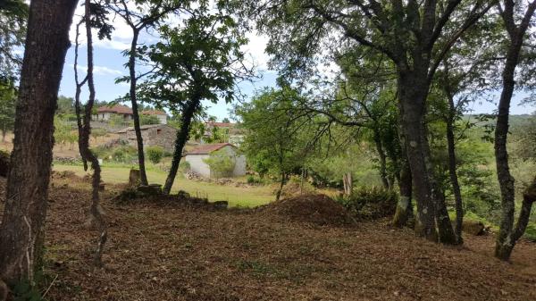 Terreno en Enfestela,A, 5