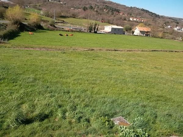 Terreno en calle rosalía de castro s/n