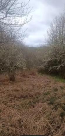 Terreno en calle Nogueira de abaixo s/n