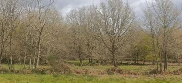 Terreno en calle Nogueira de abaixo s/n