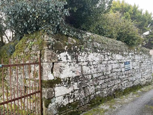 Terreno en calle Alameda