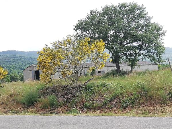 Terreno en Loureses, 1