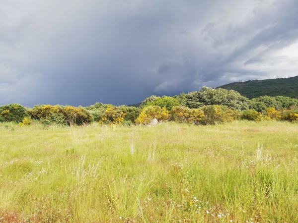 Terreno en Loureses, 1