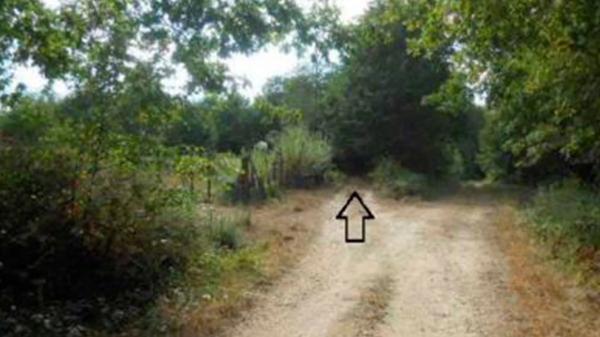 Terreno en camino As Cruces s/n None