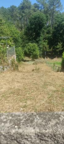 Terreno en Terzas s/n