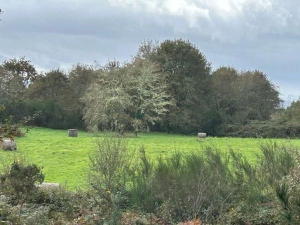Terreno en camino Campo da Feira, 6