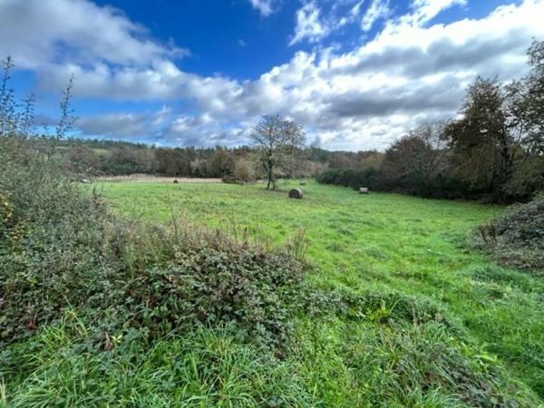 Terreno en camino Campo da Feira, 6