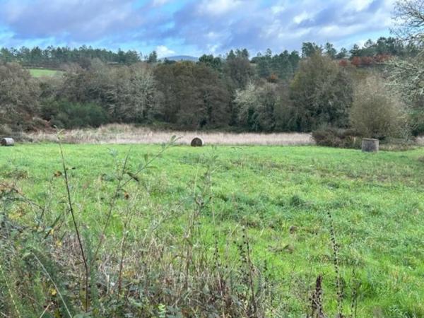 Terreno en camino Campo da Feira, 6