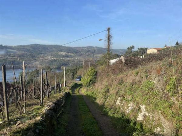 Terreno en Castrelo de Miño
