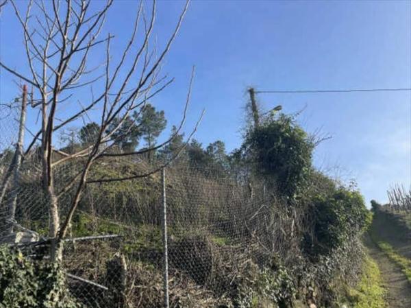 Terreno en Castrelo de Miño