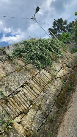 Terreno en Lugar Troncoso s/n