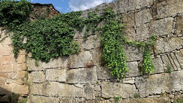 Terreno en Lugar Troncoso s/n