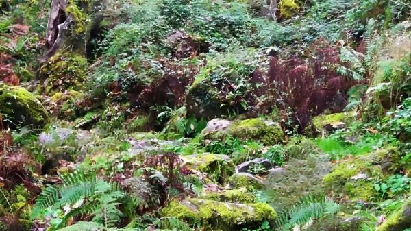 Terreno en o Rio, 130 PolgonoParcela