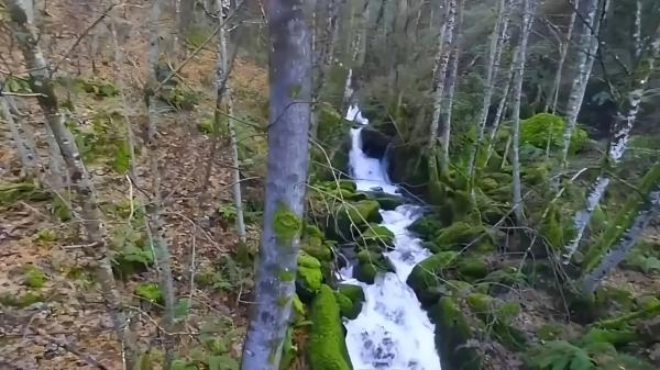 Terreno en o Rio, 130 PolgonoParcela