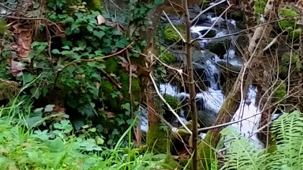Terreno en o Rio, 130 PolgonoParcela