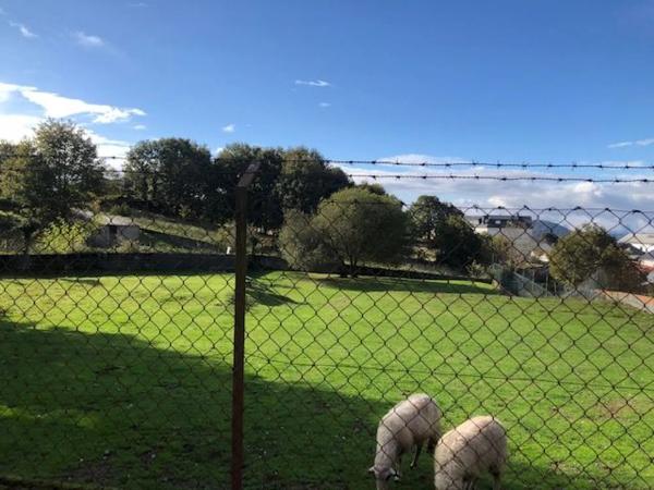Terreno en Vicente risco, 21