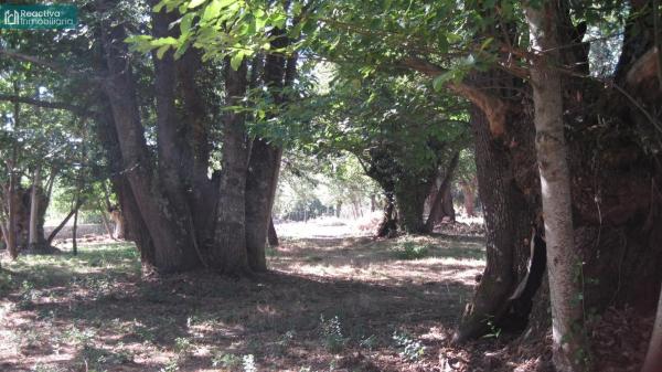 Terreno en Aldea Quintas, 1