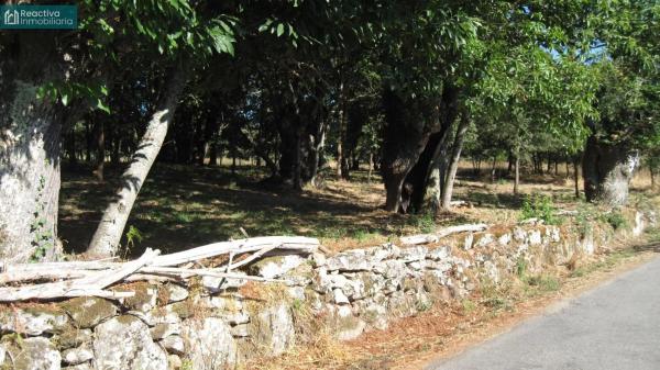 Terreno en Aldea Quintas, 1