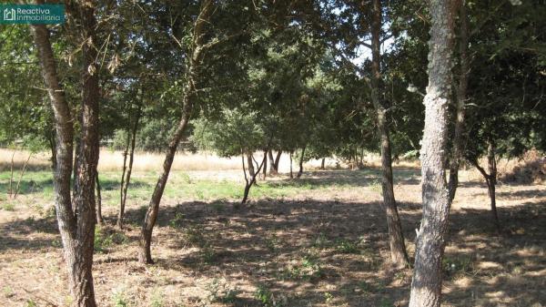 Terreno en Aldea Quintas, 1