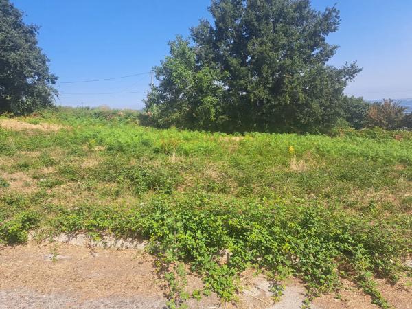 Terreno en calle Manuel Curros Enríquez, 82