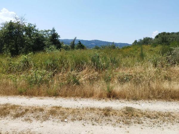 Terreno en Aldea Quintas, 1