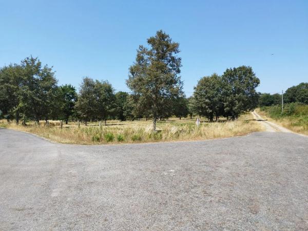 Terreno en Aldea Quintas, 1