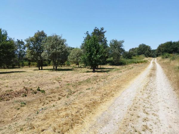 Terreno en Aldea Quintas, 1
