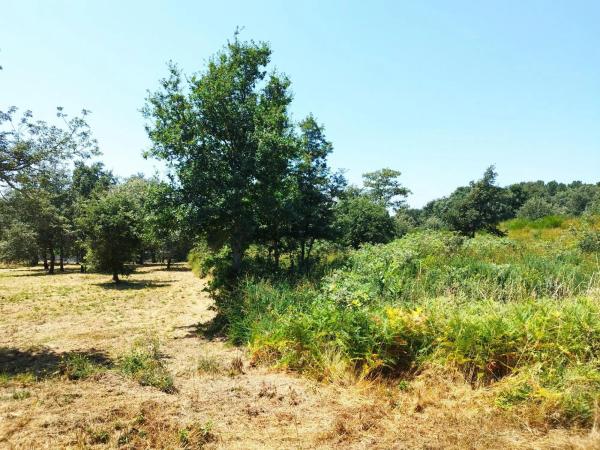 Terreno en Aldea Quintas, 1