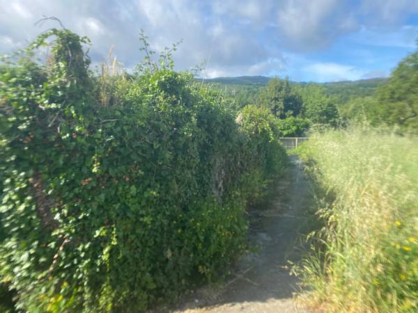 Terreno en calle Manuel Lezon, 5