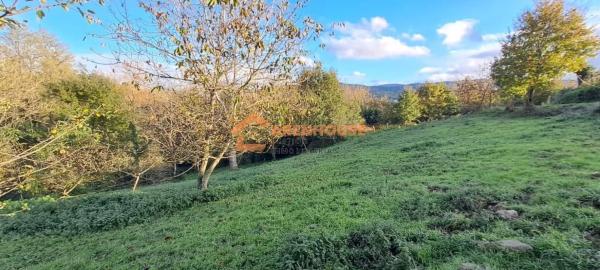 Terreno en Celanova