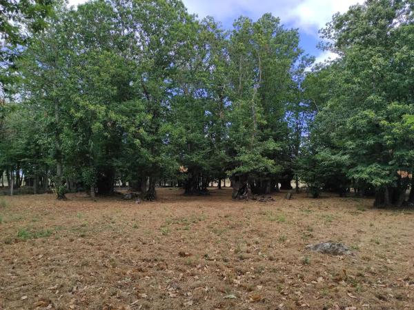 Terreno en Fe de Pedro, 10