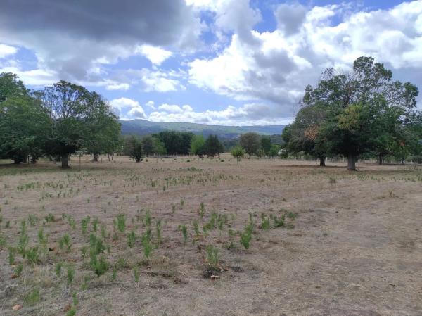 Terreno en Fe de Pedro, 10