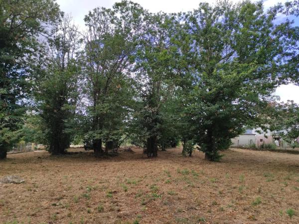 Terreno en Fe de Pedro, 10