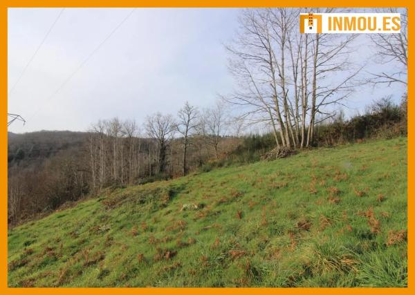 Terreno en Celanova