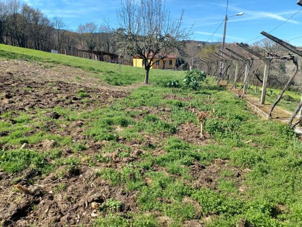 Terreno en Aldea Correxas, 506 Poligonoparc