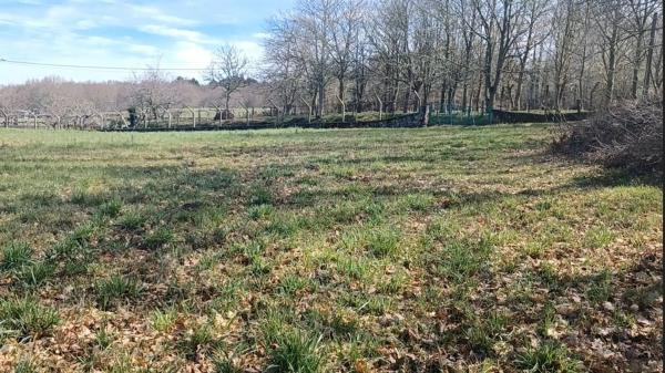 Terreno en Aldea Correxas, 506 Poligonoparc