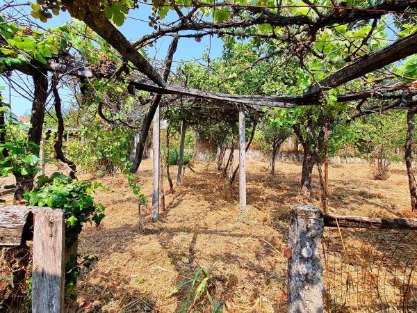 Terreno en avenida Francisco González Rey, 11