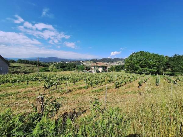 Terreno en carretera de Esposende