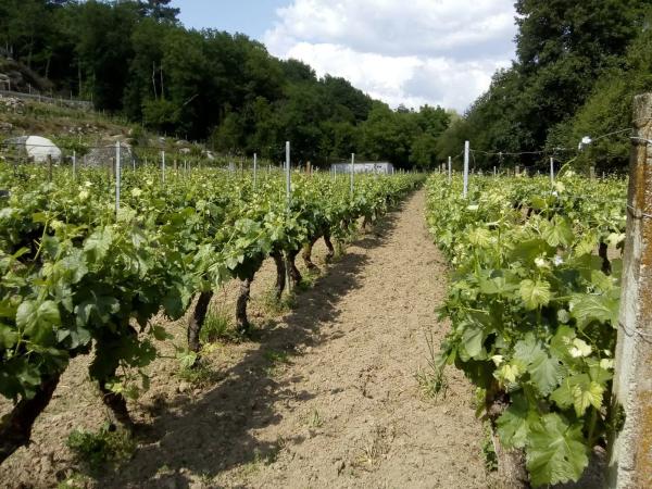 Terreno en Our-cv-408 s/n