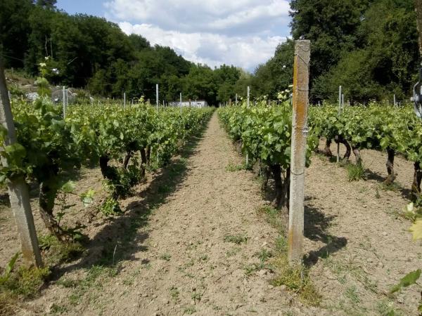 Terreno en Our-cv-408 s/n