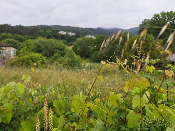 Terreno en Leiro