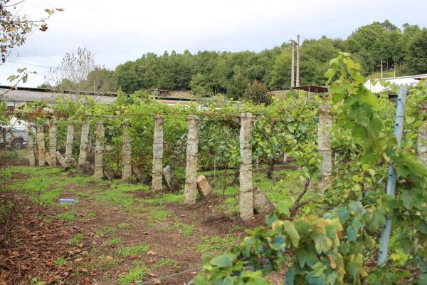 Terreno en calle Gabino Bugallal, 1