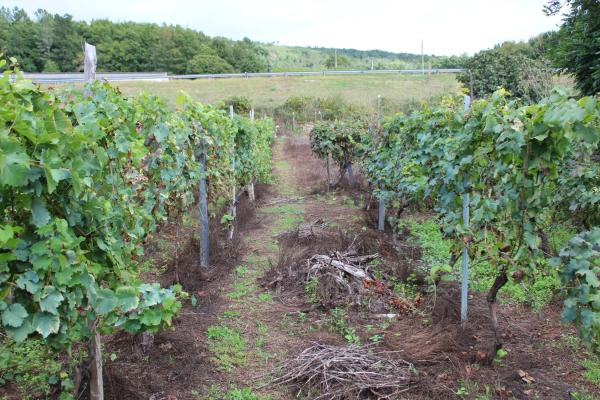 Terreno en calle Gabino Bugallal, 1